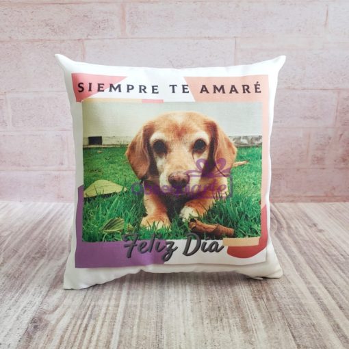 Una Regalo Mini Almohada con Foto de un perro en ella.