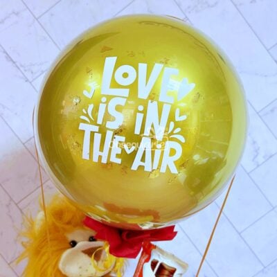 Regalo Globo Soñador Regalo Globo Soñador