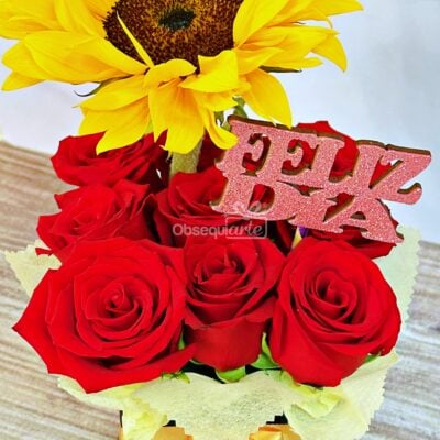 Regalo Soft con Girasol Regalo Soft con Girasol