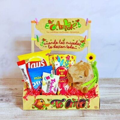 Regalo Capibara del Amor Regalo Capibara del Amor