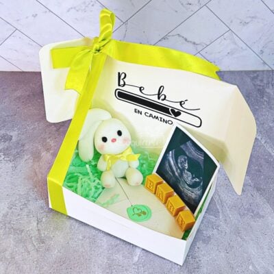 Regalo Bebé en Camino Regalo Bebé en Camino